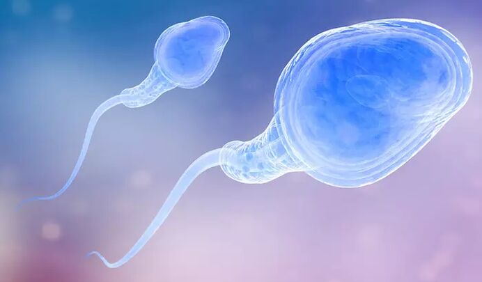 Ер адамның алдын ала эякуляциясында сперматозоидтар болуы мүмкін